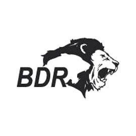 Bdr Pharmaceuticals Intl Private Limited